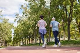 斯基拉：多特正在谈判，尝试签克鲁塞罗17岁左后