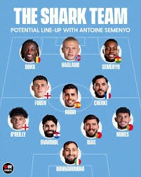 2025 赛季回顾：大联盟官方确认 2025 年为全联盟场均观众人数增长最快的一年